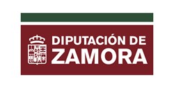 Nitlux es adjudicatario del concurso: Proyecto de renovación de las instalaciones del alumbrado exterior municipal en la Provincia de Zamora, Diputación Provincial de Zamora.