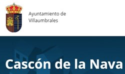 Nitlux es adjudicataria del concurso: Renovación alumbrado público calles 2 y 3 del Polígono Industrial/Ganadero de Cascón de la Nava (Palencia).